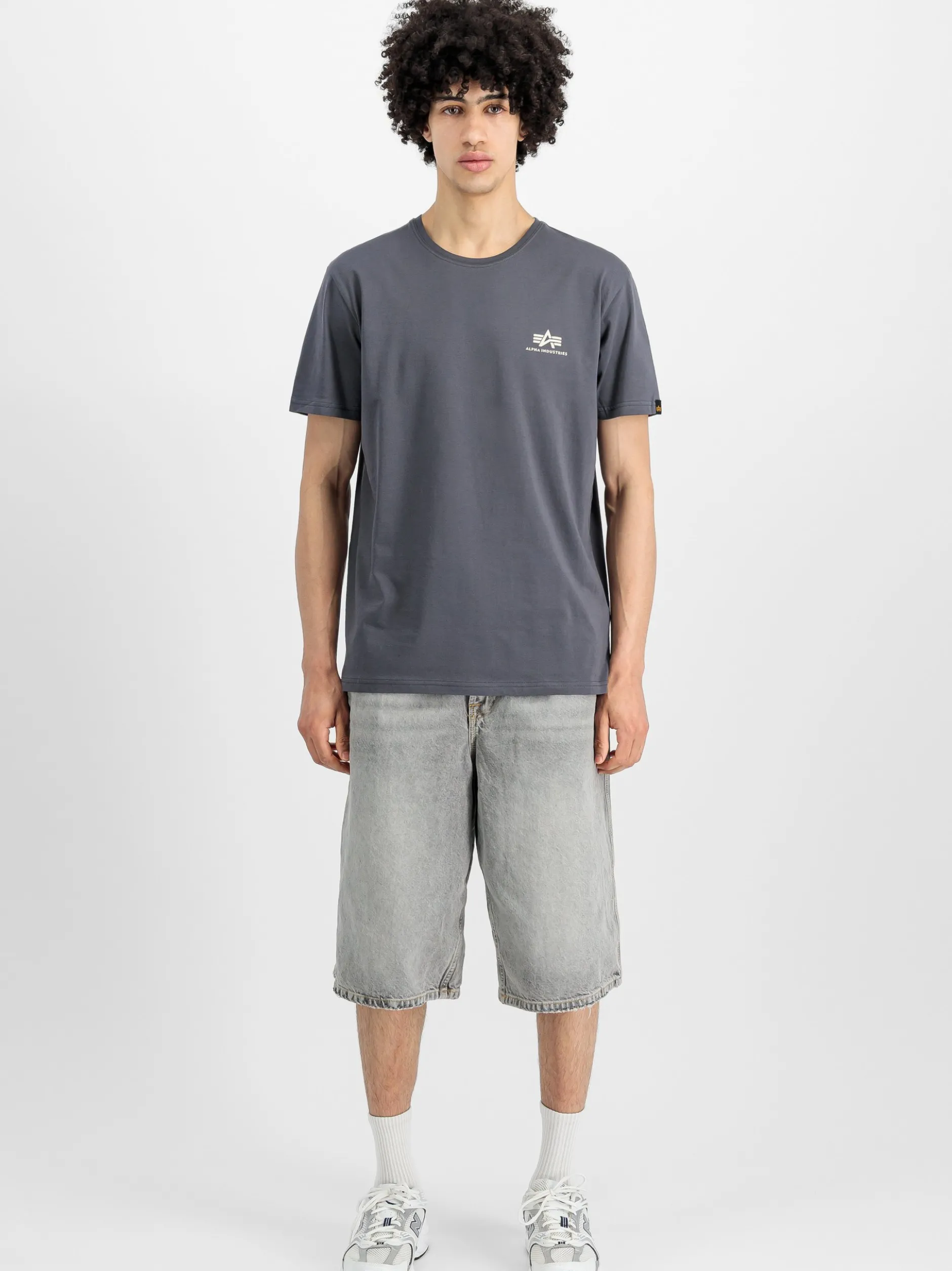 Alpha Industries Herren T-Shirt in grau