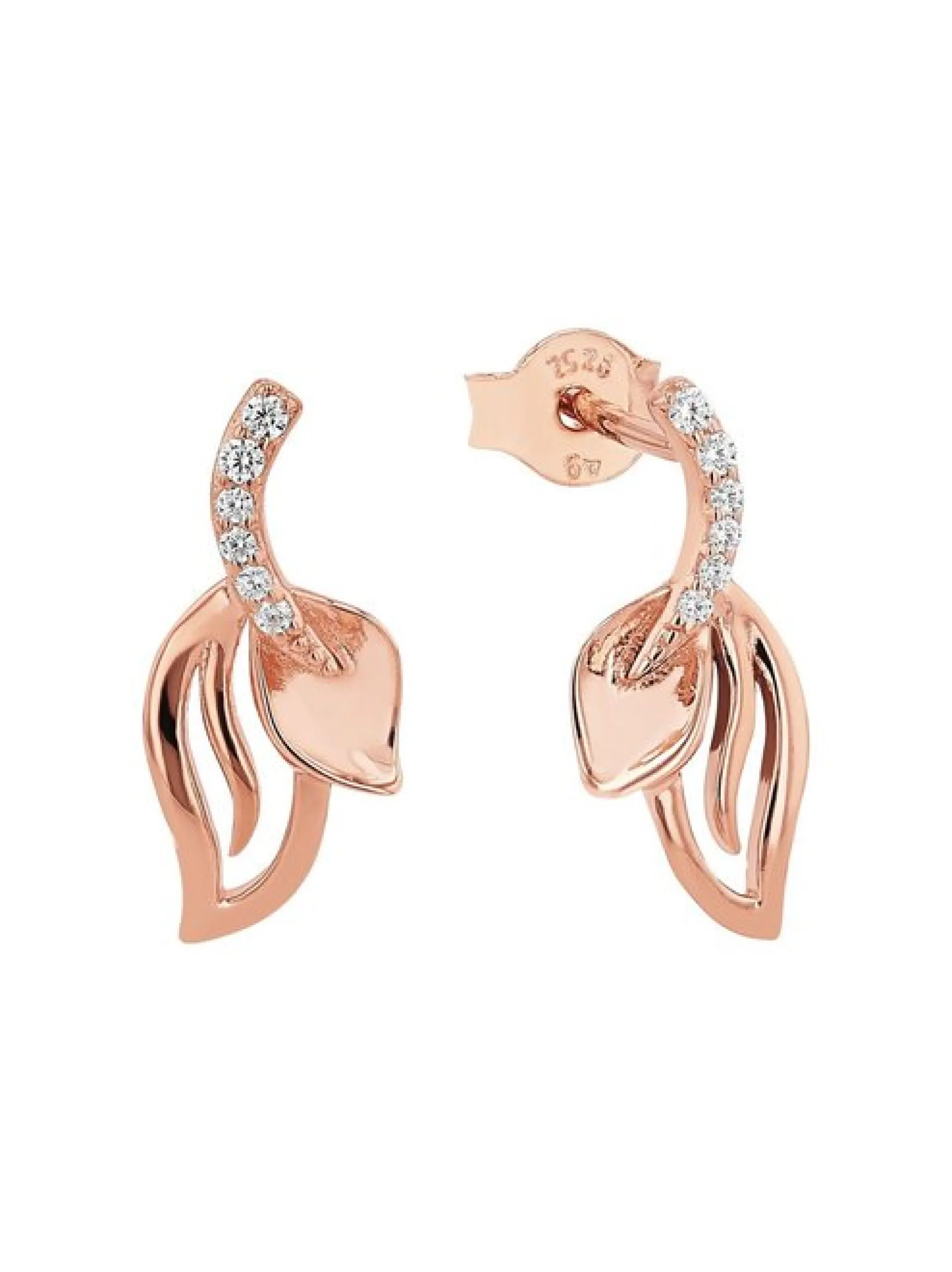 amor Damen Ohrhänger in roségold