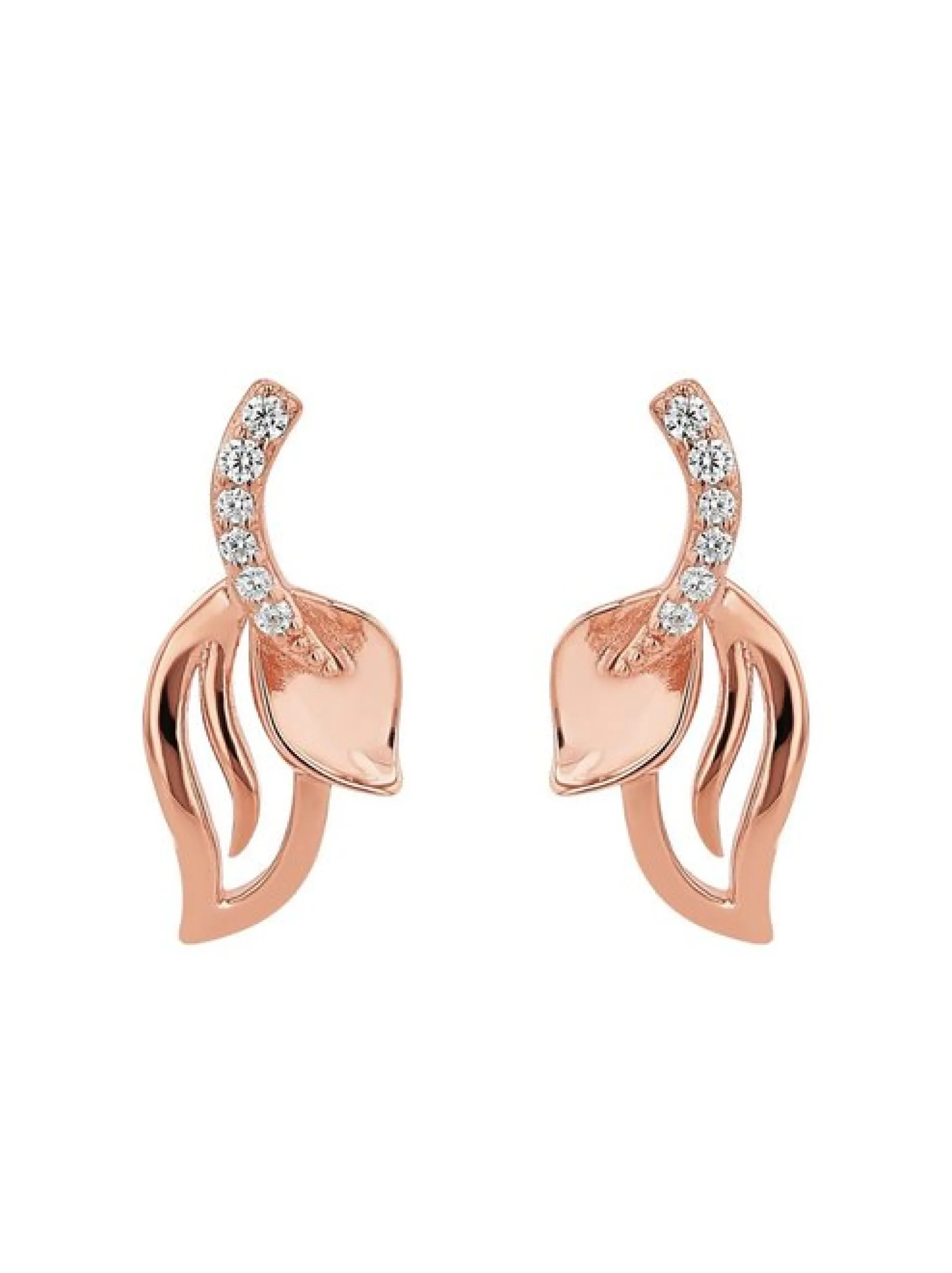 amor Damen Ohrhänger in roségold