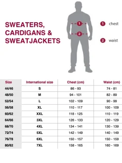 BABISTA Herren Pullover - BIATOLLI in bordeaux