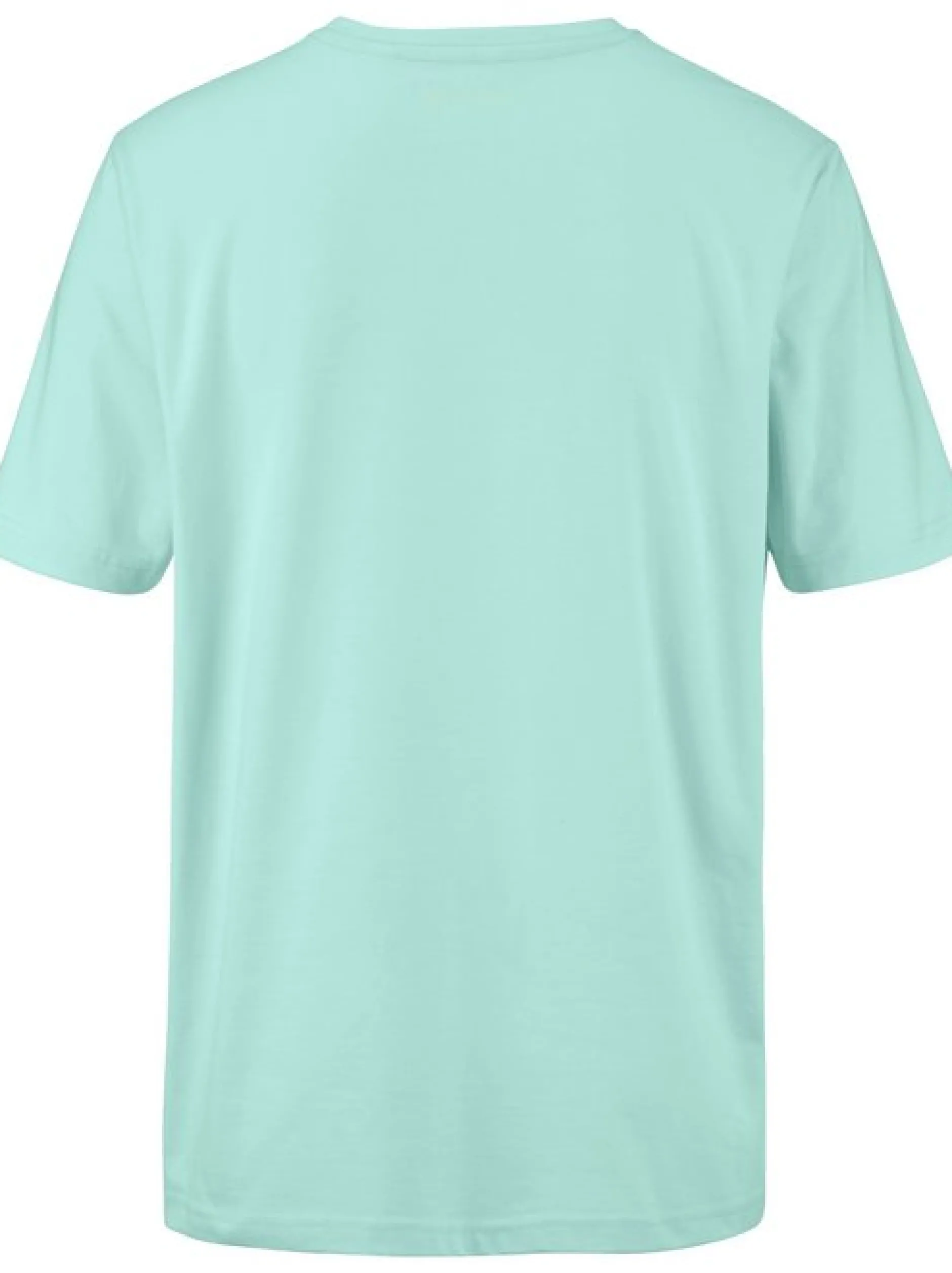 BABISTA Herren T-Shirt - ULVIENTO in mint