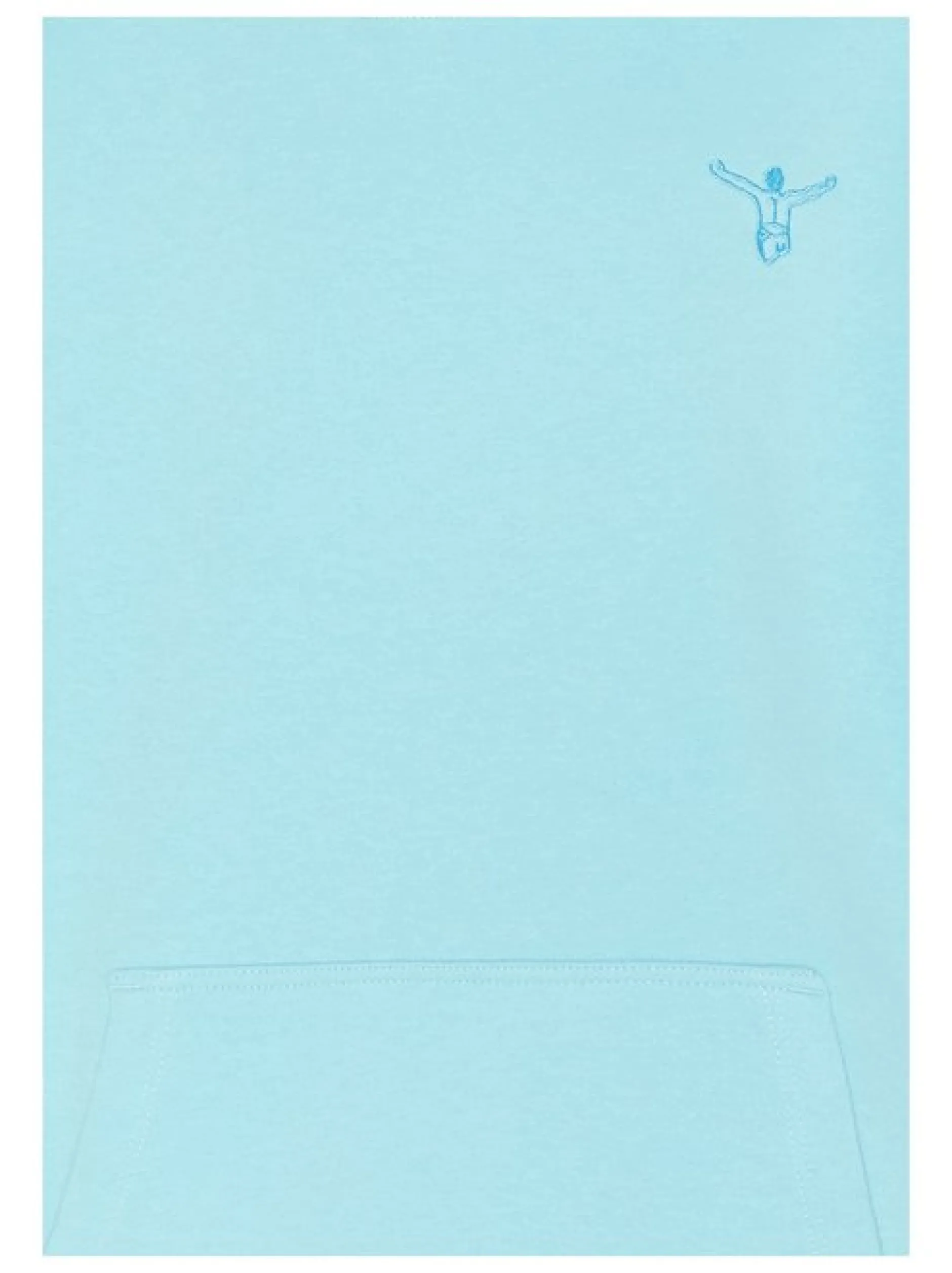 Chiemsee Jungen Sweatshirt in blau - Ärmel: langarm