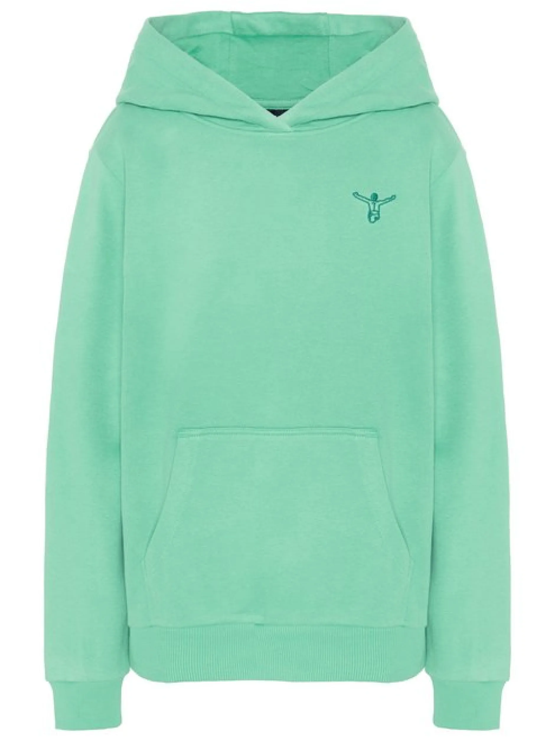 Chiemsee Jungen Sweatshirt in grün - Ärmel: langarm