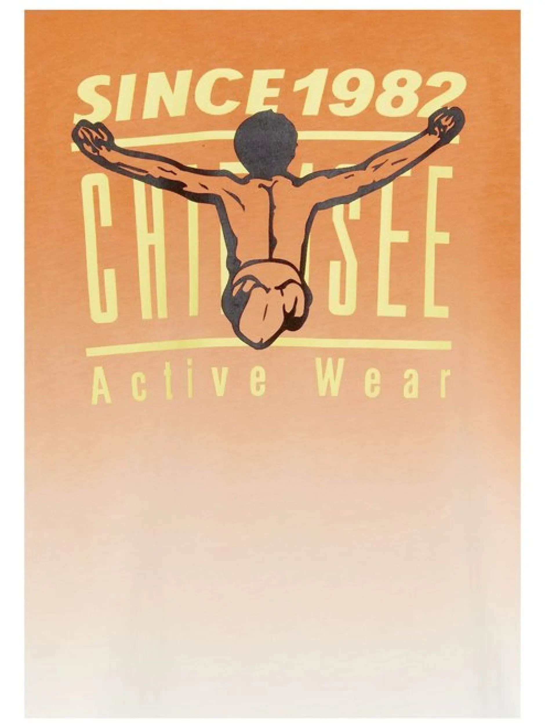 Chiemsee Jungen T-Shirt in orange weiß - Ärmel: kurzarm
