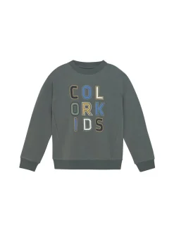 ColorKids Kinder Sweater - COSweat in grün