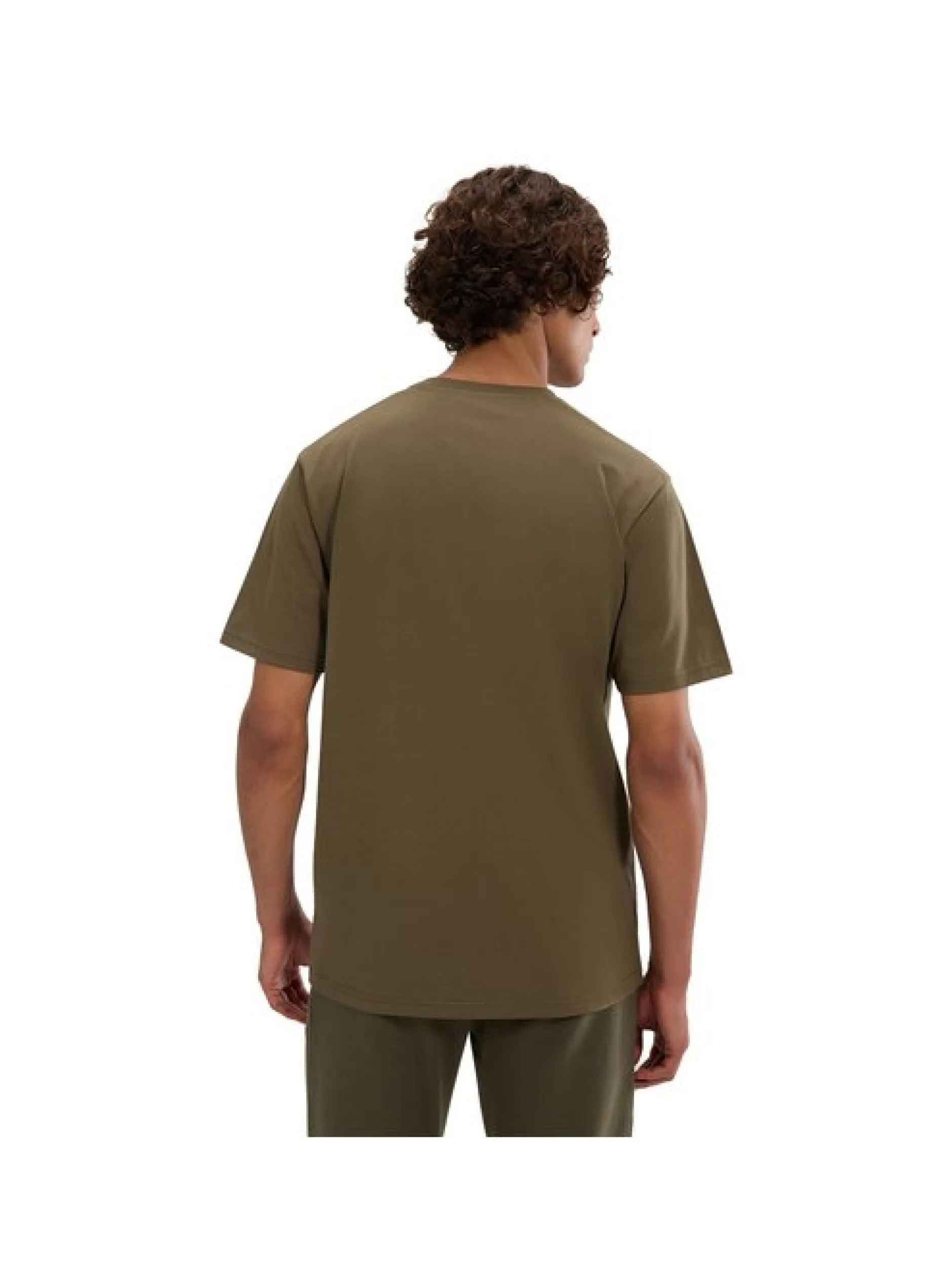 ellesse Herren T-Shirt in grün - Ausschnitt: Rundhals