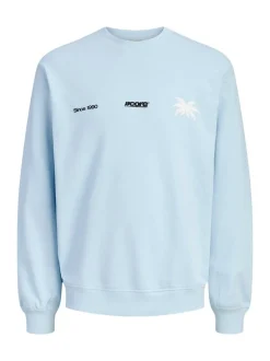 Jack & Jones Junior Jungen Sweatshirt in hellblau