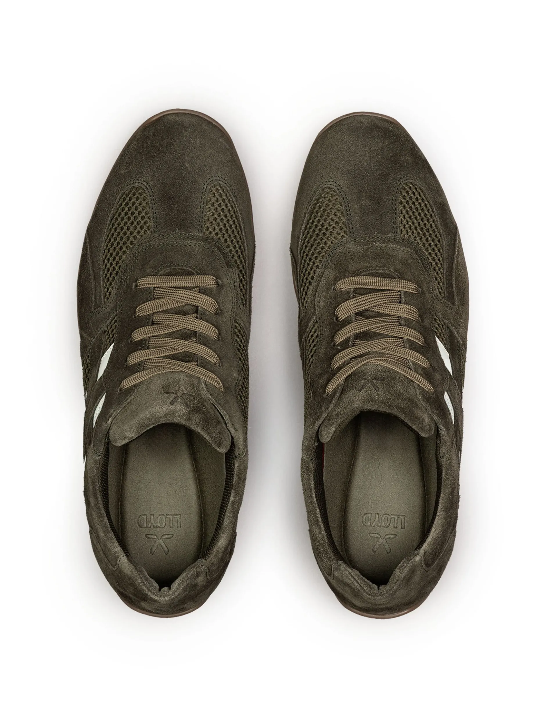 Lloyd Herren Sneaker - PHASE in grün - 0 cm Absatz