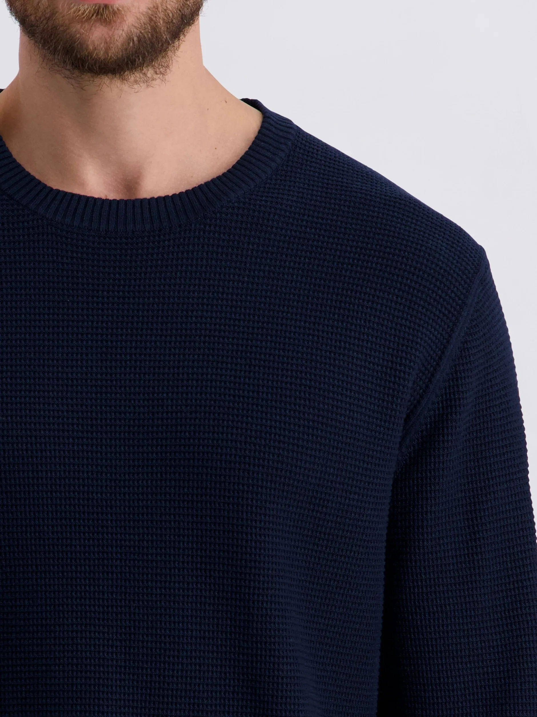 Pierre Cardin Herren Pullover in blau - Ärmel: langarm