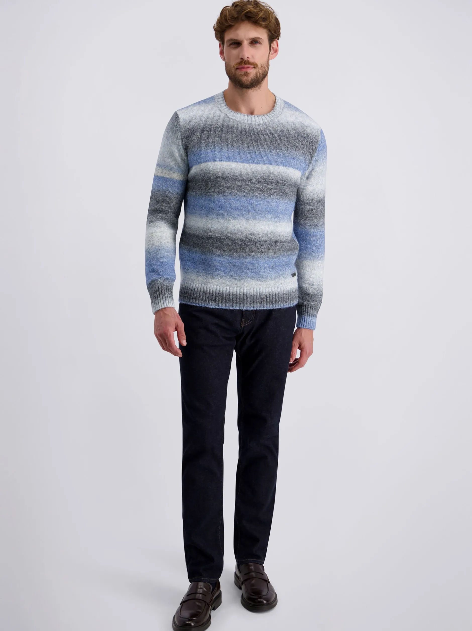 Pierre Cardin Herren Pullover in blau - Ärmel: langarm