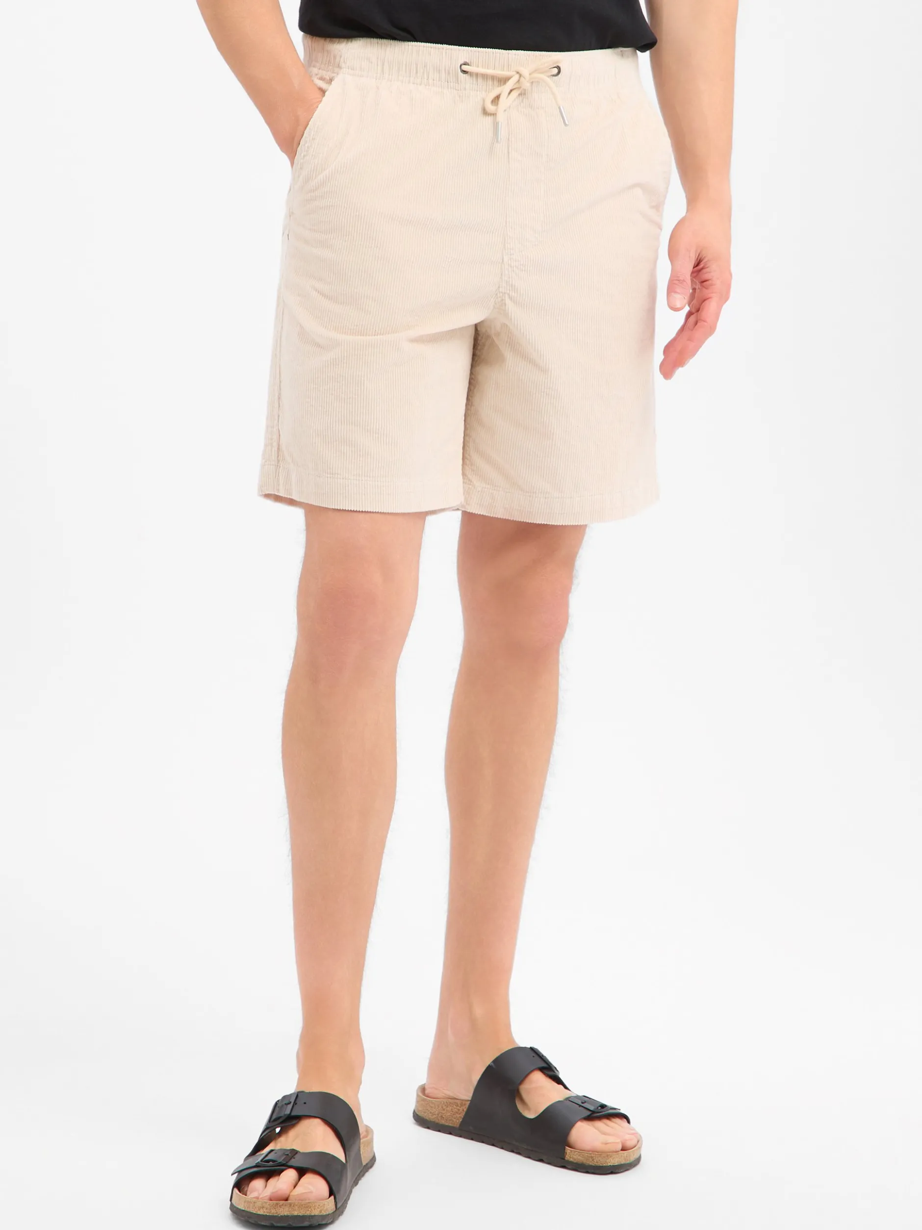 Selected Herren Shorts - SLHRegular-Jace in beige