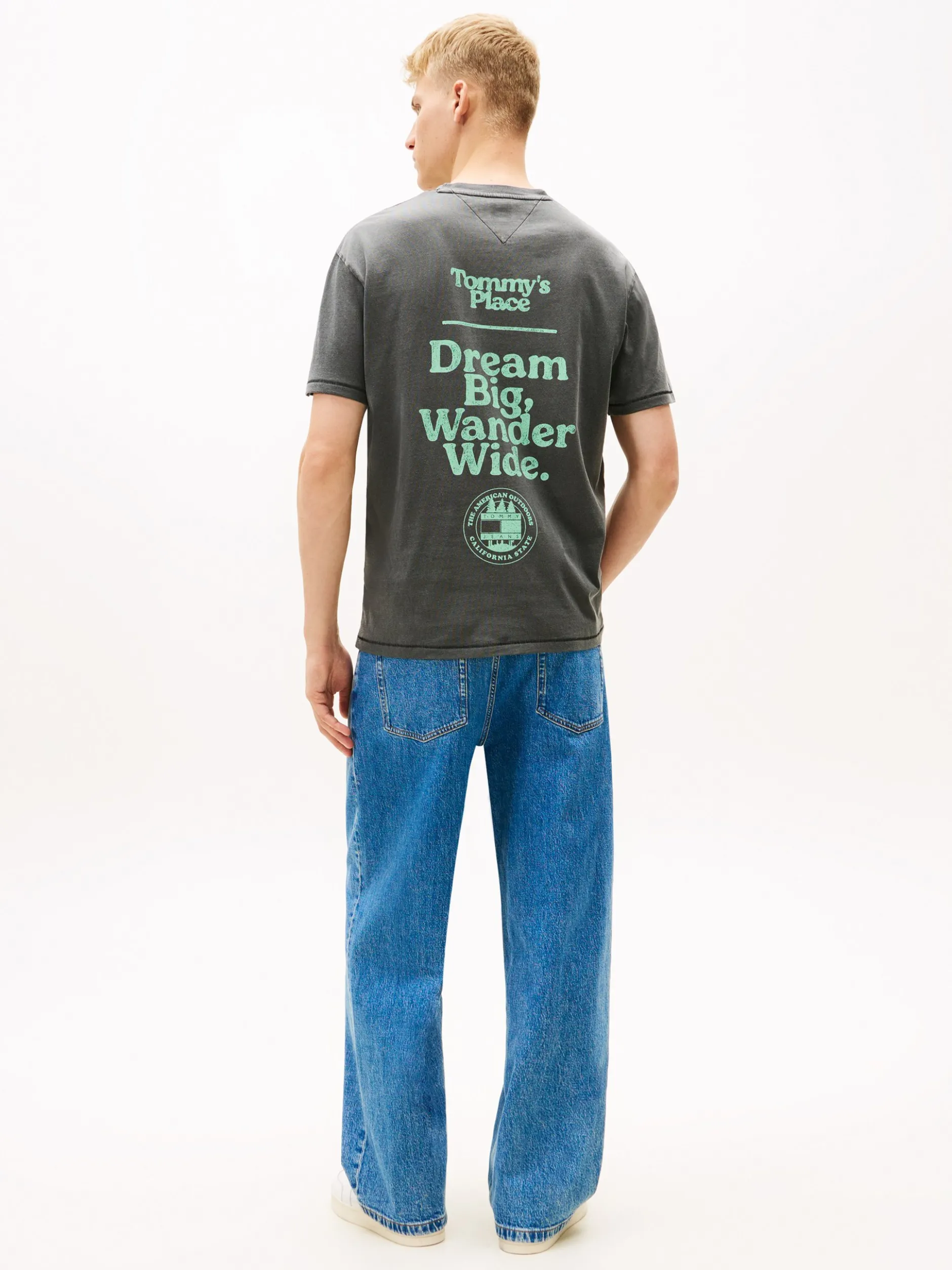 Tommy Jeans Herren T-Shirt in anthrazit mint