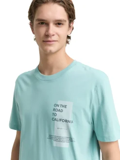 Tom Tailor Denim Herren T-Shirt in mint - Ärmel: kurzarm