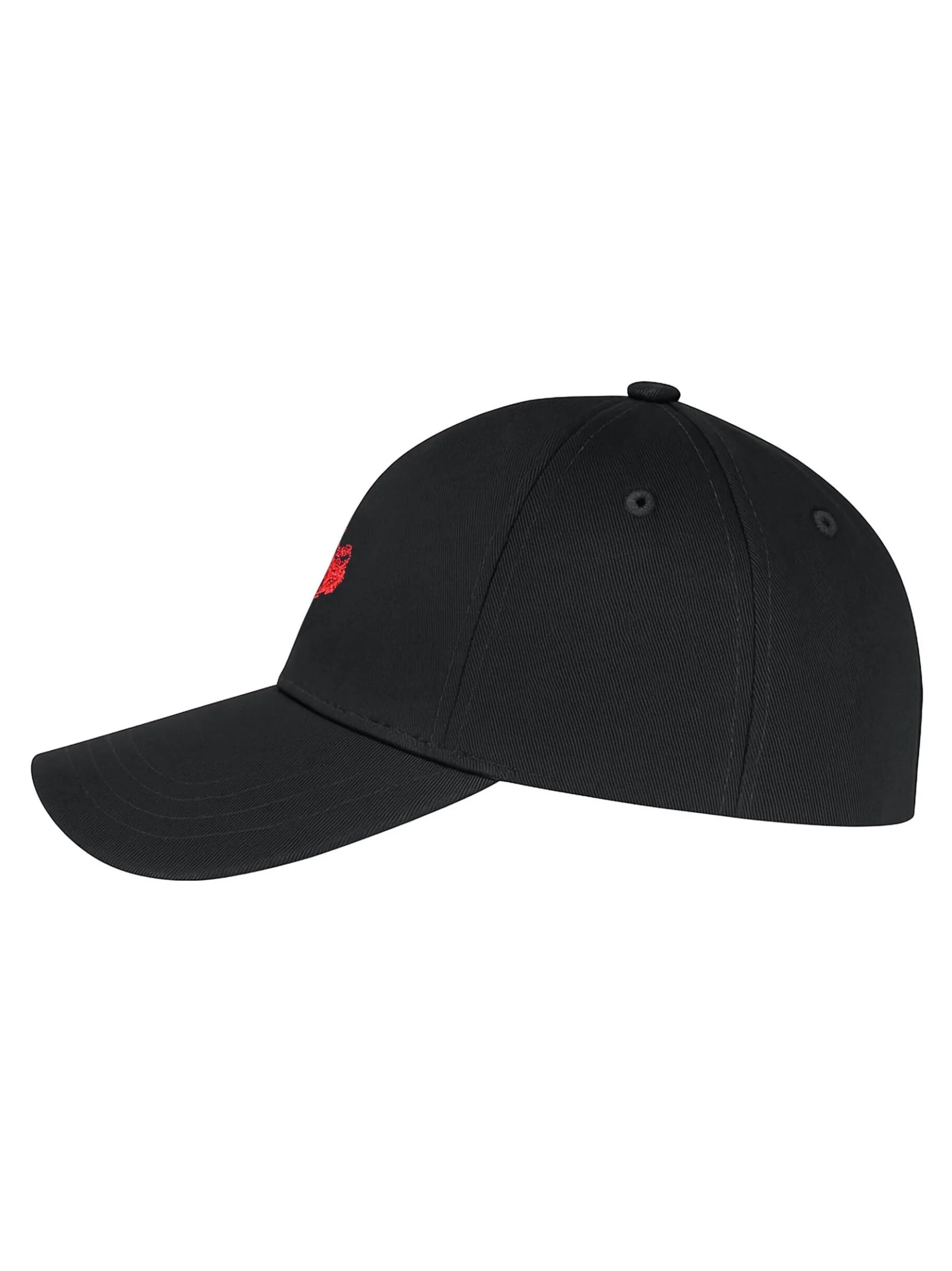 U.S. Polo Assn. Herren Cap - USJaymee in schwarz